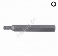 F1767560 Бита TORX  T60  L=75mm  /10/150/300