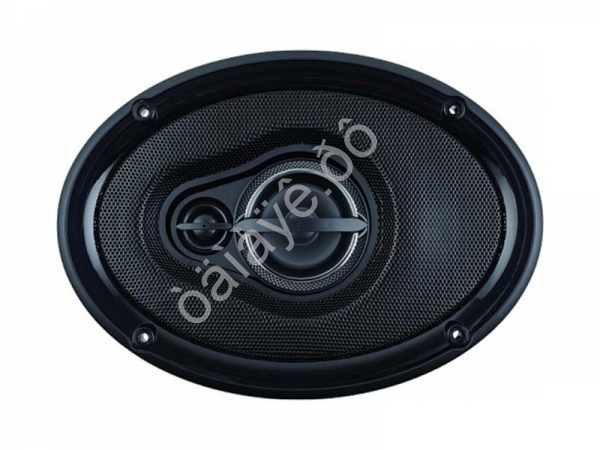 Автоколонки SKYLOR R69 coax. 6х9см 1/4 Автоколонки SKYLOR R69 coax. 6х9см 1/4