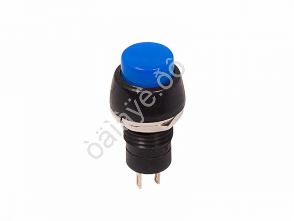 Выключатель-кнопка 250V 2А (2с) ON-OFF синяя Micro (PBS-20А) REXANT