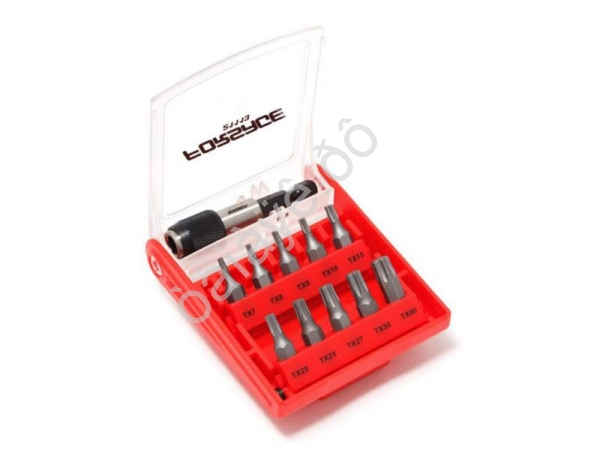 Набор бит-торкс с битодержателем 11пр. (T 7,8,9,10,15,20,25,27,30,40-25мм) Forsage Набор бит-торкс с битодержателем 11пр. (T 7,8,9,10,15,20,25,27,30,40-25мм) Forsage