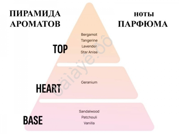 Освежитель воздуха "Аreon CAR BOX BLACK STYLE" на дефлектор, Gold/Золото /1/12