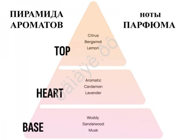 Освежитель воздуха "Аreon CAR BOX BLACK STYLE" на дефлектор, Silver/Серебро /1/12