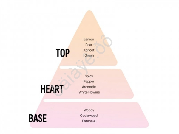 Освежитель воздуха "AREON" подвесной гелевый SPECIAL SELECTION_For him_ (Blue Crystal/Голубой кристалл)