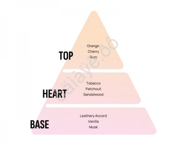 Освежитель воздуха "AREON" подвесной гелевый SPECIAL SELECTION_For him_ (Vanille Noire/Черная Ваниль)