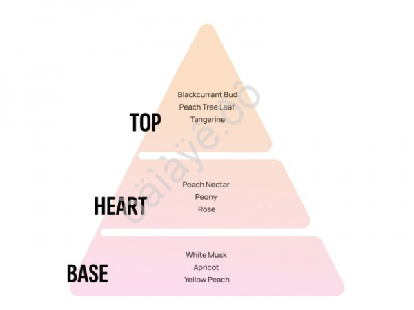 Освежитель воздуха "Areon FRESCO" дерев. бочонок Peach/Персик /1/12